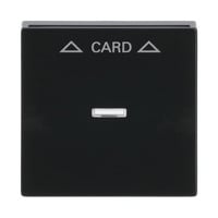 Busch-Jaeger Zentralscheibe für Cardschalter mit Symbolik und Kalotte, Abdeckung anthrazit, Retail