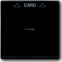 Busch-Jaeger Zentralscheibe für Cardschalter mit Symbolik und Kalotte, Abdeckung anthrazit, Retail