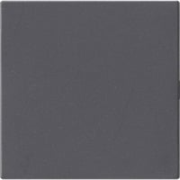 Gira Blindabdeckung ohne Tragring anthrazit, Retail