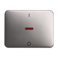 0 Kontroll Wippe mit Aufdruck I 0 platin, Retail
