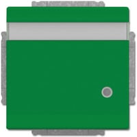 Busch-Jaeger Schutzkontaktsteckdose Einsatz Typ F grün, Retail