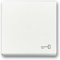 Busch-Jaeger Wippe mit Aufdruck weiß, Retail