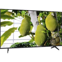 55Q6C Mini-LED, QLED-Fernseher
