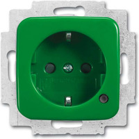 Busch-Jaeger Schutzkontakt-Steckdoseneinsatz grün, Retail