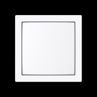 Busch-Jaeger Zentralscheibe 1576 CN-44G, Zentralplatte weiß, Retail