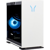 Medion ERAZER Engineer X20 (MD34680), Gaming-PC schwarz/transparent, Windows 11 Home 64-Bit