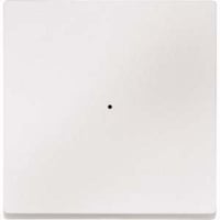 4042811164690 - Wippe einteilig matt 1fach für System M Typ MEG5210-0419