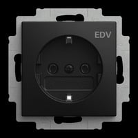 4011395360484 - Steckdosen Einsatz 20 EUC DV 915