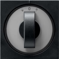 Gira Abdeckung Knebel Zeitschalter schwarz, Retail