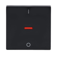 Busch-Jaeger Kontroll-Wippe mit Aufdruck Ein Aus anthrazit, Retail