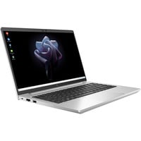 HP Elite mt645 G7 Mobile Thin Client (5G705EA), Notebook silber, AMD Ryzen 3 5425U, AMD Radeon Graphics, 8 GB DDR4, 256 GB (256 GB SSD), IGEL OS