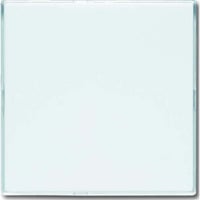 Busch-Jaeger Blindzentralscheibe stws 1576 CN-84, Zentralplatte weiß (glänzend), Retail