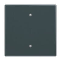 Busch-Jaeger Wippe Elektroniktaster anthrazit, Retail