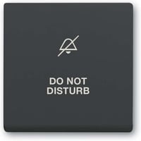 Busch-Jaeger Wippe mit Aufdruck anthrazit, Retail