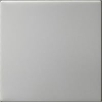 Gira Wippe einfach unbedruckt System 55 Bedienwippe Ersatz edelstahl, Retail