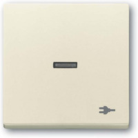 Busch-Jaeger Wippe mit Aufdruck weiß, Retail