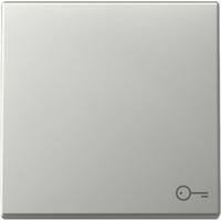 Gira Wippe Symbol Tür edelstahl, Retail