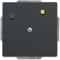 Busch-Jaeger Fehlerstromschutzschalter Unterputzeinsatz 3151 UC-81, Steckdose anthrazit, Retail