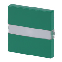 Busch-Jaeger Wippe grün, Retail