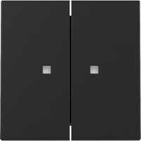 Gira Wippe zweifach mit Kontrollfenster schwarz, Retail
