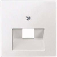 Merten Zentralplatte für Universal-Anschluss-Einsätze, Typ 298319, Unterputzmontage, Kunststoff weiß (matt), Retail