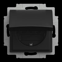 Busch-Jaeger Steckdosen Einsatz 20 Europäische Norm Typ F schwarz, Retail