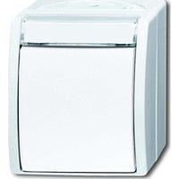 Busch-Jaeger Wechselschalter 2601/6 Wippe mit Komplettgehäuse weiß, Retail