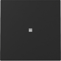 Gira Wippe mit Kontrollfenster lackiert schwarz, Retail