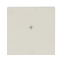 Busch-Jaeger Wippe elf ws future linear 6231-10-82 weiß, Retail