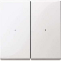 4042811165161 - Merten Wippen fTaster- MEG5220-0319 Modul 2f polarweiß glänzend