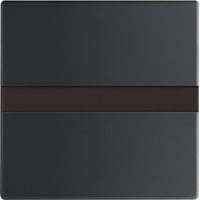 Busch-Jaeger Komfortschalter mit Orientierungslicht, Bewegungsmelder schwarz, Retail