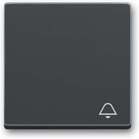 Busch-Jaeger Wippe mit Aufdruck anthrazit, Retail