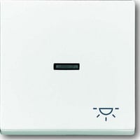 Busch-Jaeger Wippe mit Symbol Licht einteilige Wippe Retail