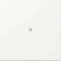 Gira Wippe Kontrollfenster weiß, Retail