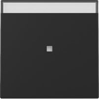 Gira Wippe Kontrollfenster einteilige Wippe schwarz, Retail