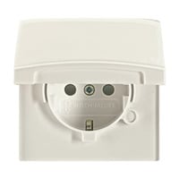 Busch-Jaeger Schutzkontakt-Steckdoseneinsatz Retail