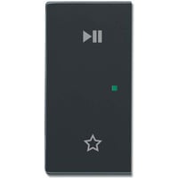 Busch-Jaeger Wippe anthrazit, Retail