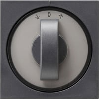 4010337666288 - Abdeckung mit Knebel für Jalousie System 55