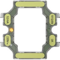 Gira LED-Beleuchtungselement Variante 1 0,5 Milliampere, Leuchte orange, Retail