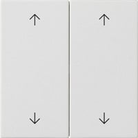 Gira Wippe zwei fach weiß, Retail