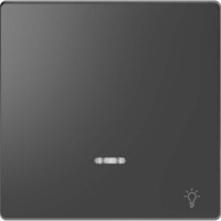 Merten Wippe mit Kontrollfenster anthrazit, Retail