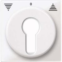 4042811034481 - Zentralplatte für Rollladeneinsatz Ausführung Key Switch glänzend Thermoplast