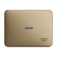 0 Wippe mit Symbol Licht bronze, Retail