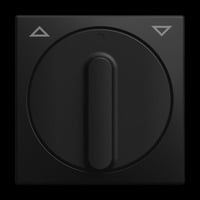 Busch-Jaeger Zentralscheibe 2542 Drehknopf 915, Abdeckung schwarz, Retail