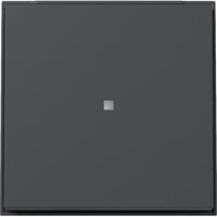 Gira Wippe mit Kontrollfenster Diebstahlschutz durch optional verschraubbares Klemmstück anthrazit, Retail