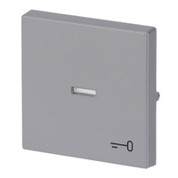 Busch-Jaeger Wippe mit Symbol Schlüssel 1789 TR-83 Retail