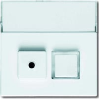 Busch-Jaeger Zentralscheibe 1572 CN-84, Abdeckung Retail