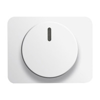 Busch-Jaeger Zentralscheibe stws glänzend für Drehdimmer Typ 6540-24G, Kunststoff, Thermoplast, Abdeckung Retail