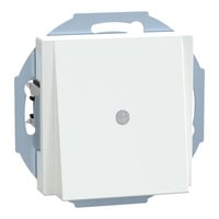 Merten Zentralplatte mit Traggestell und Zugentlastung, Unterputz, Kunststoff, glänzend weiß (glänzend), Retail