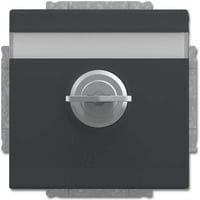 Busch-Jaeger Schutzkontakt-Steckdosen-Einsatz anthrazit, Retail